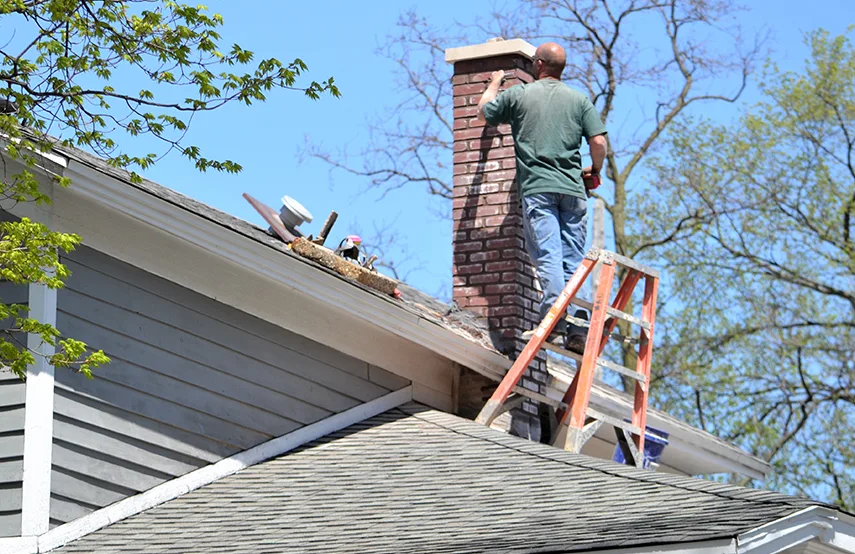 Chimney & Fireplace Inspections Services in Jackson, MI